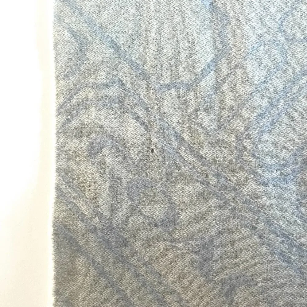 Coach Cashmere and Wool Logo Fringe Scarf Light Blue and Ivory Muffler Scarf